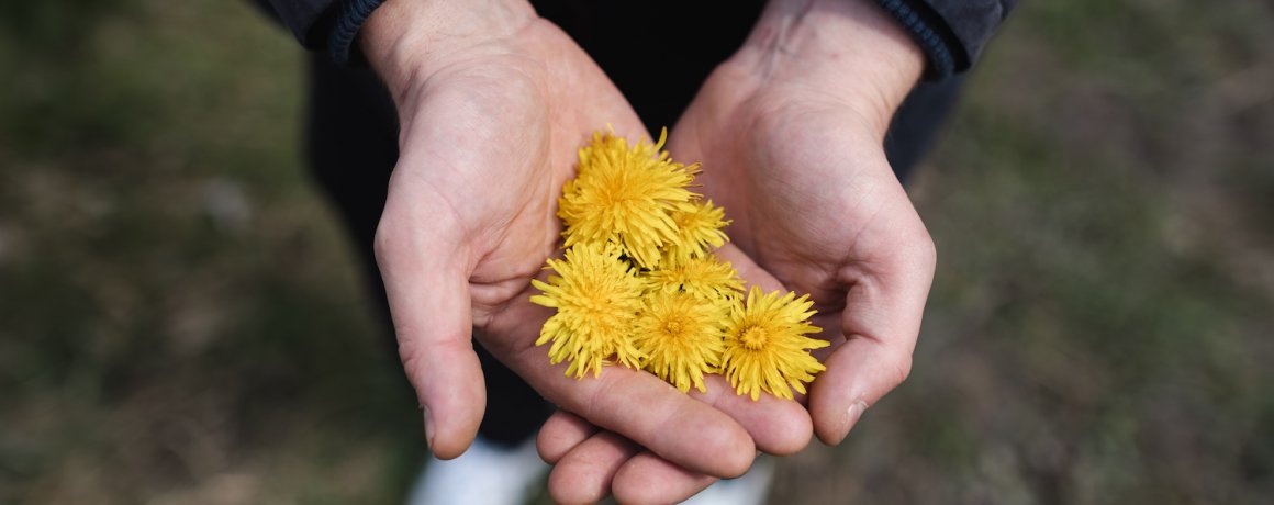 gele bloemen in hand